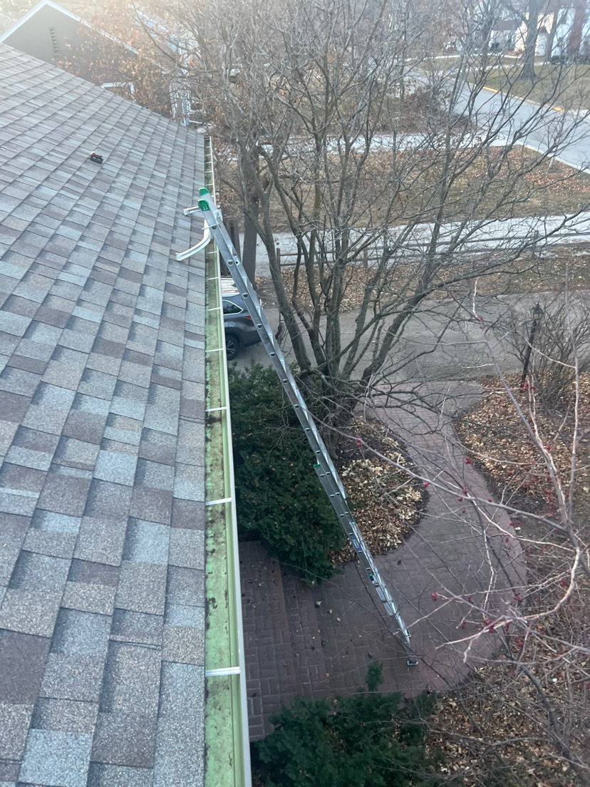 Gutter Cleaning